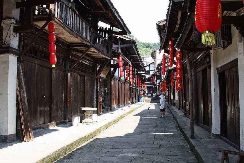 书本旅行团他来到海河之滨的天津博物馆，一起欣赏《雪景寒林图》